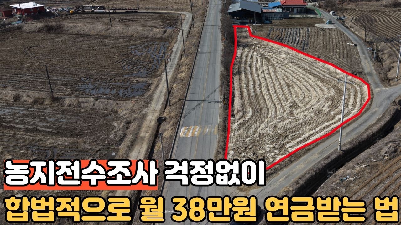농지전수조사 100% 피하는 법! 8천만 원대 농지로 매달 38만 원 '평생 연금' 받는 비결