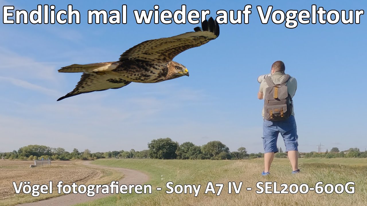 Endlich wieder Vogelfotografie mit dem 200-600G und der Sony A7 IV - Fotowalk und Wildlife am Morgen