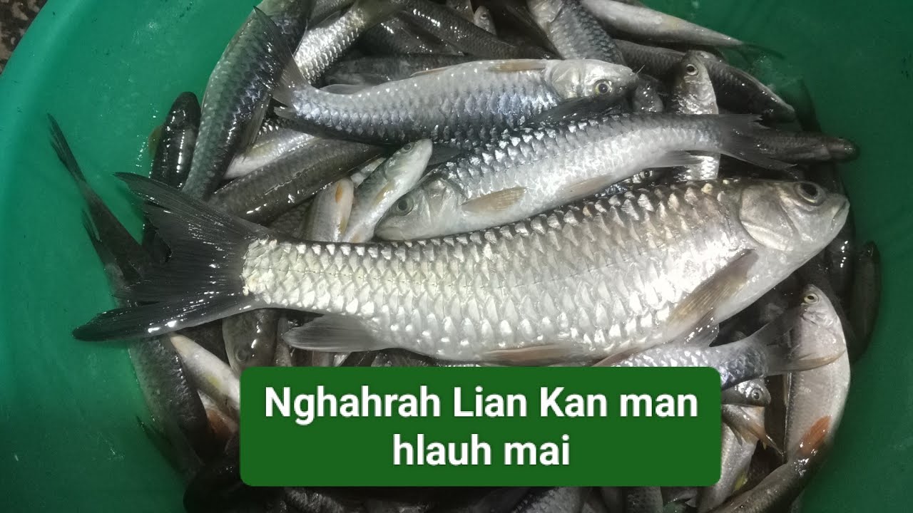 Lenden Kan man chho mawlh² mai a nuam khawp mai...