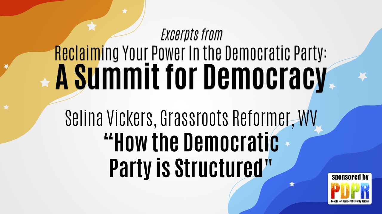 PDPR Summit for Democracy - How the Democratic Party is Organized