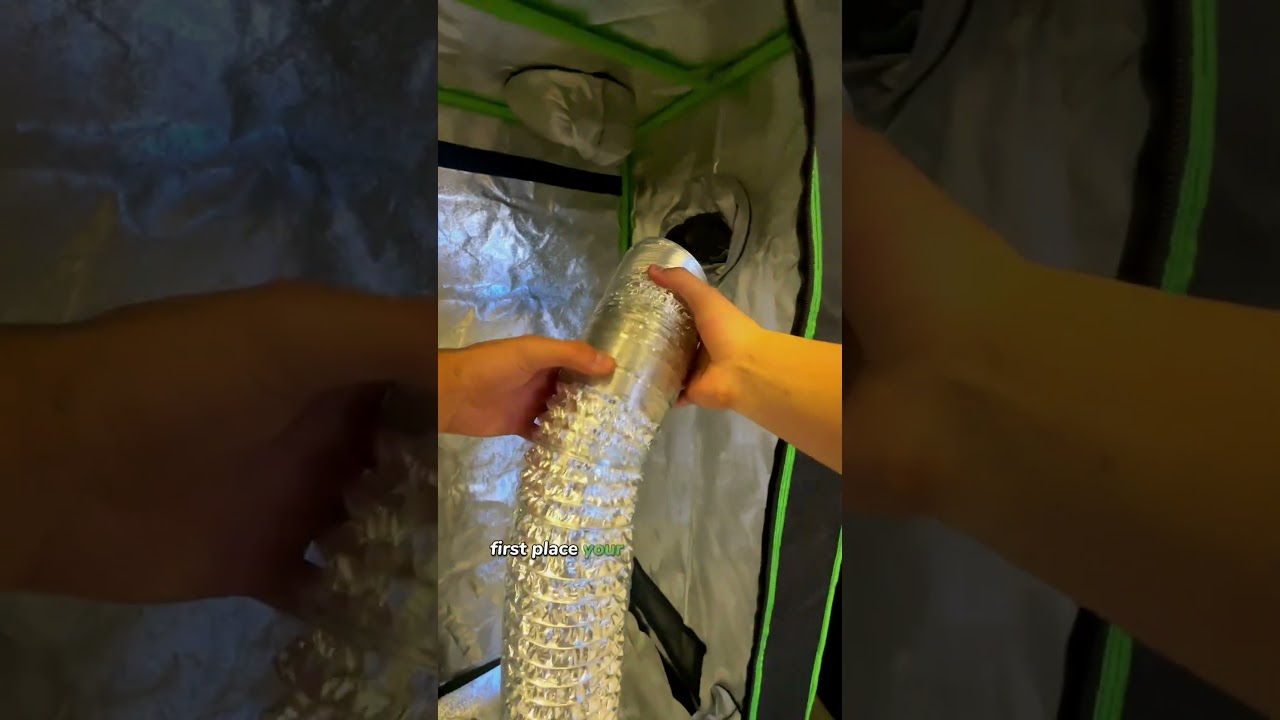 How to setup a Air Filtration System for your Cannabis Grow Tent #hydroponics #homegrown