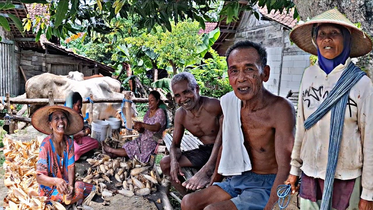 Hidup di Desa‼️Perkampungan Tengah Hutan Di Suku Jawa kuno,Yang Susah Kita Jumpai&Tidak Ada Di Kota