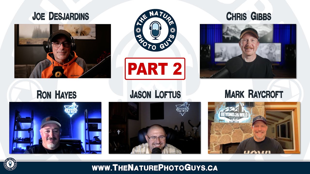 Gone Pod Wild Part 2: A Chat with Beyond The Wild