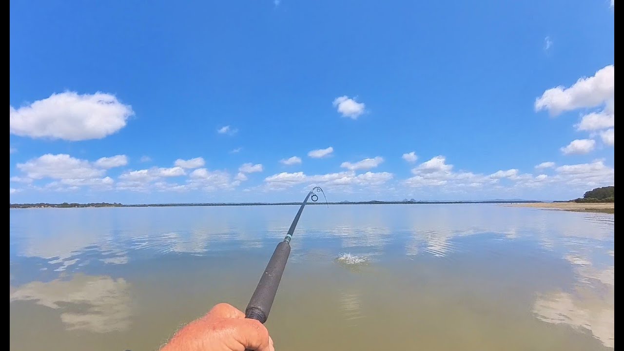 Will the whiting and flathead still be there after the storms