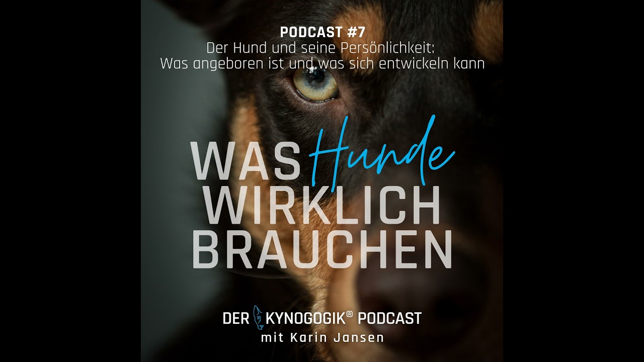 Der Hund und seine Persönlichkeit