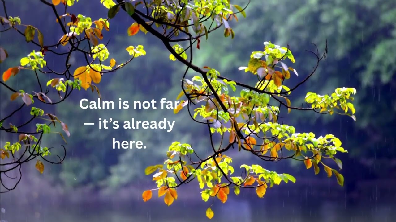 Rain Sounds for Deep Calm & Inner Peace | Relax, Breathe, Unwind