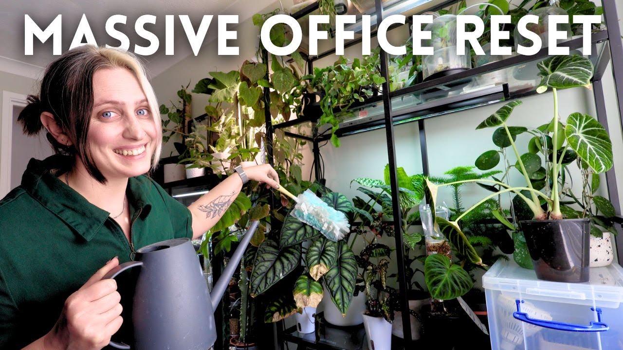 Finally Tackling These Overdue Office Plant Chores! 🪴✨