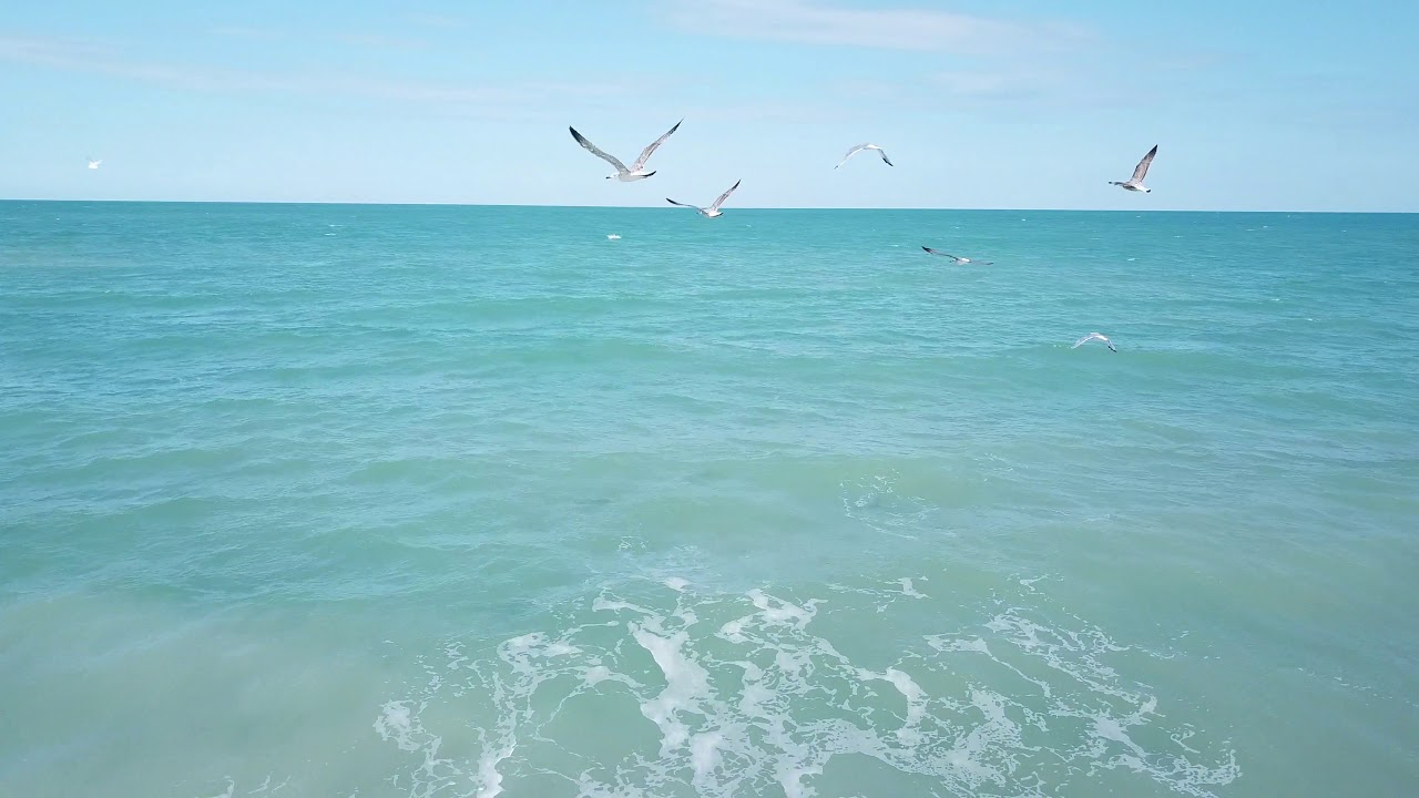 Roseto Degli Abruzzi 2018 visto dal drone