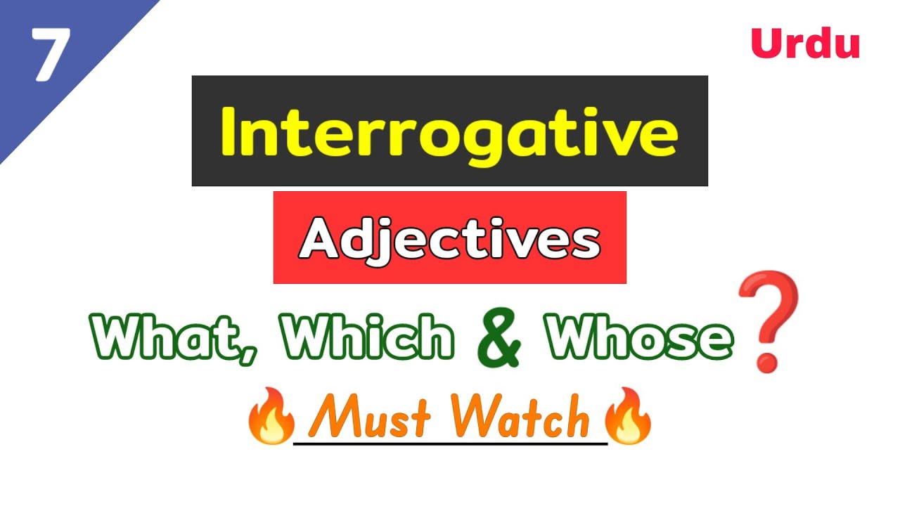 Interrogative adjective | what is an interrogative adjective | interrogative adjectives | adjective