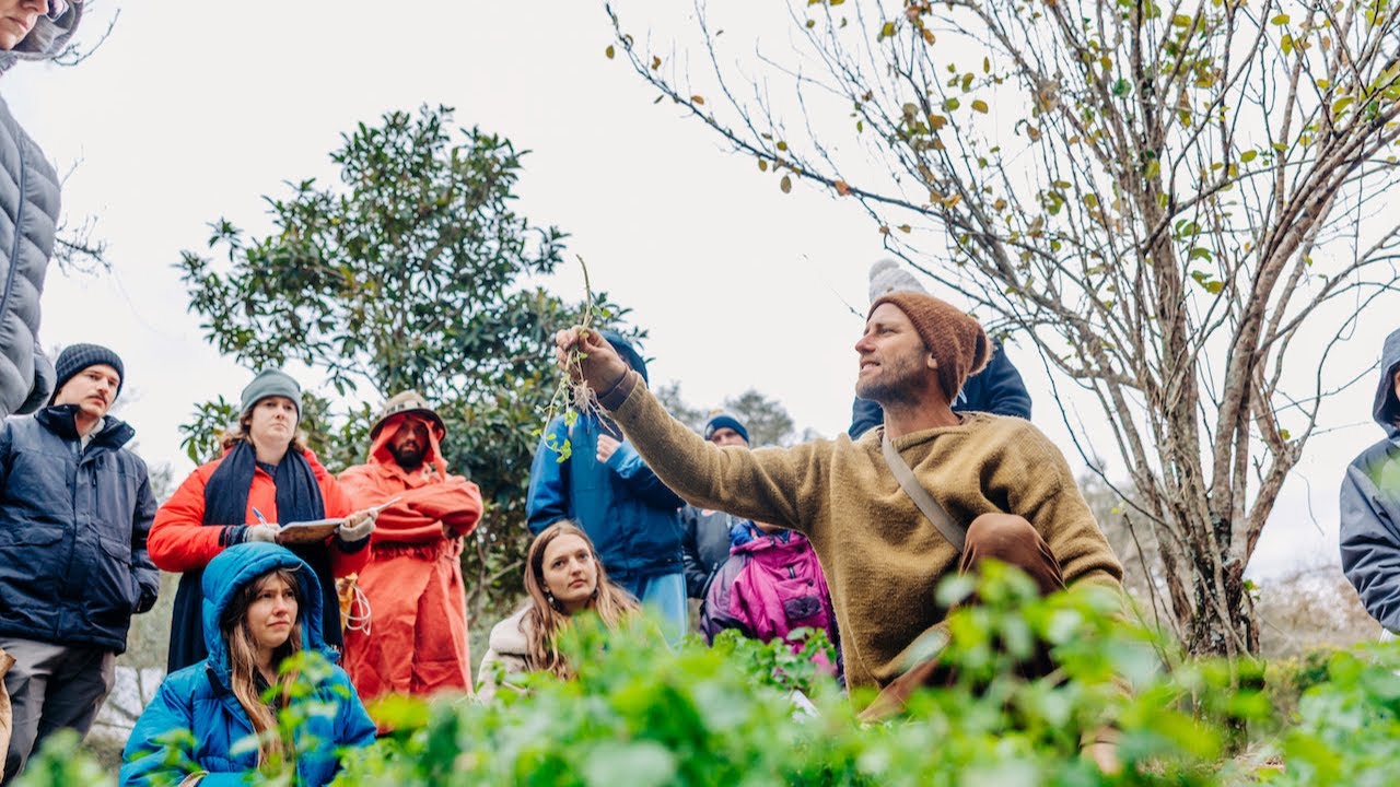 Foraging School with Robin Greenfield