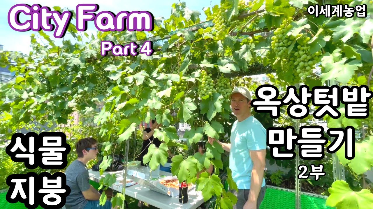 옥상텃밭 제작과정 : City Farm part 4 - 2부 웨딩박스(텃밭상자)와 식물지붕 [도시농업]