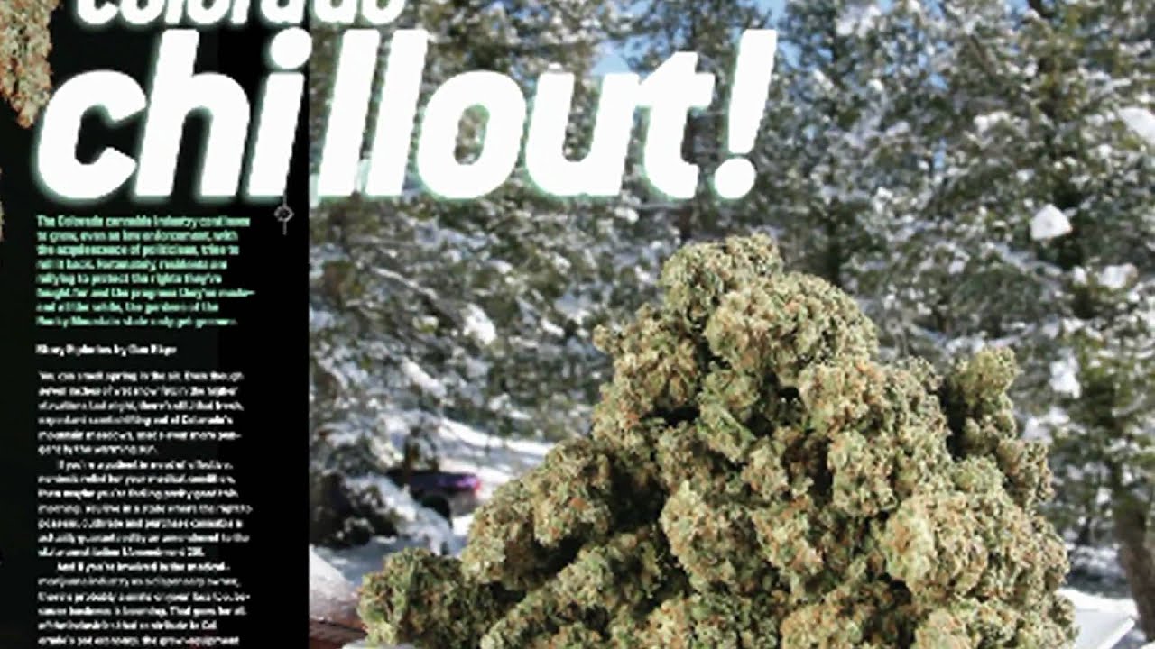 How to Breed Better Pot