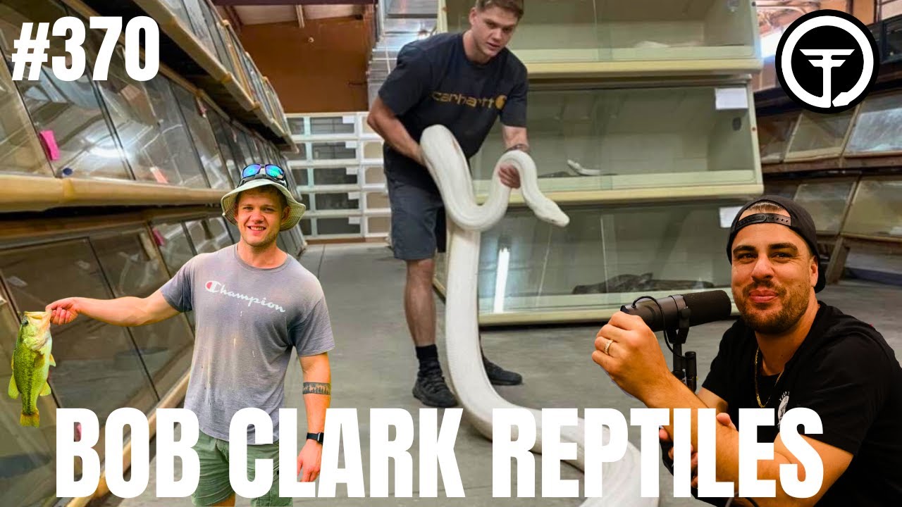Xavier explains working full-time at Bob Clark's Reptiles