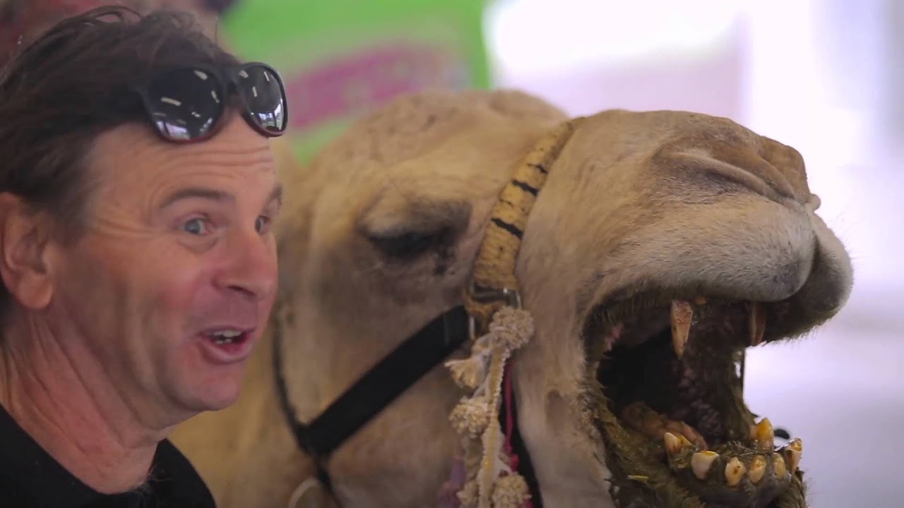 New Thirsty Camel Delivery Service