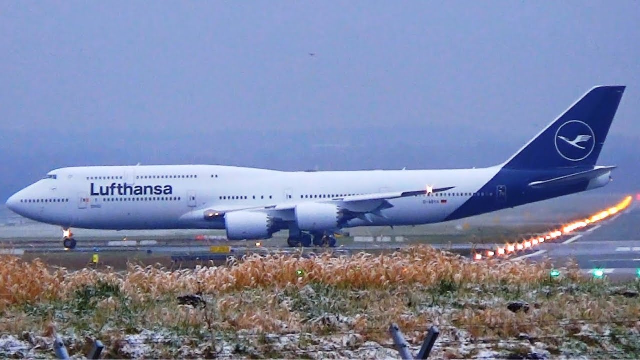 NEW LUFTHANSA LIVERY! B747-830 Landing Hamburg Airport | D-ABYA