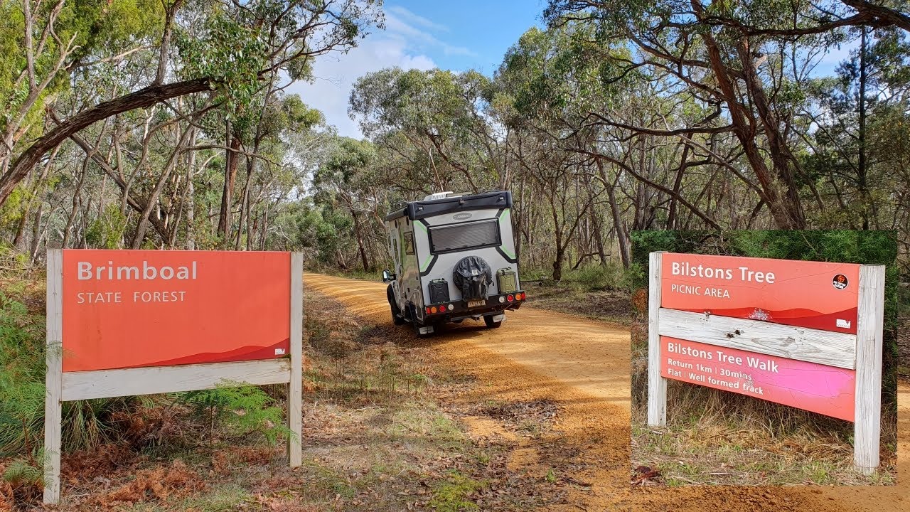 Free Camping on Nolan Creek, Brimboal State Forest, Glenelg Shire, Victoria, Australia