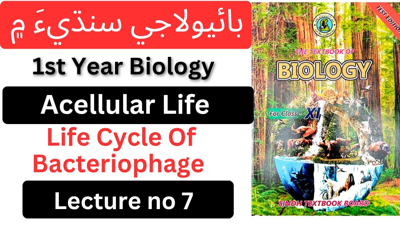 First year Biology in Sindhi|Life Cycle of Bacteriophage|Acellular Life||Chapter 5|#biologyinsindhi