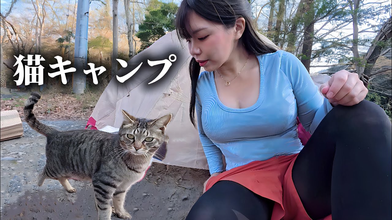 【女ひとり】可愛すぎる猫達に癒されすぎた…ソロキャンプ