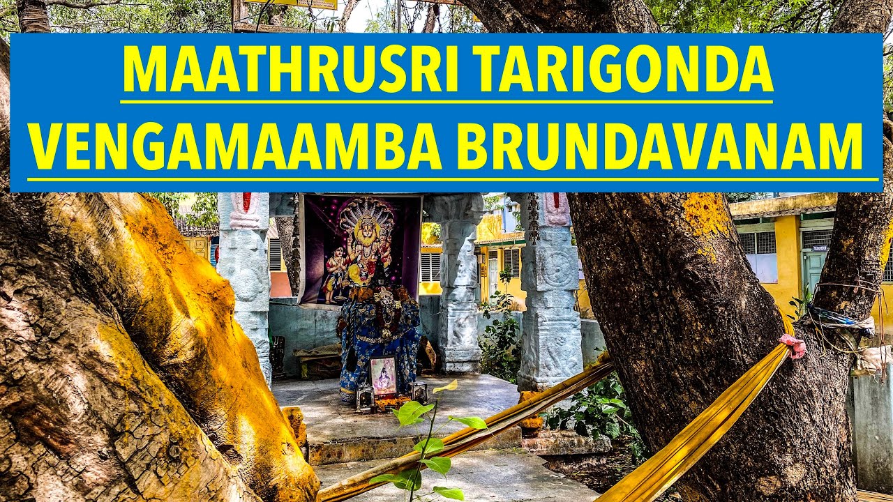 MAATHRUSRI THARIGONDA VENGAMAAMBA BRUNDAVANAM IN TIRUMALA