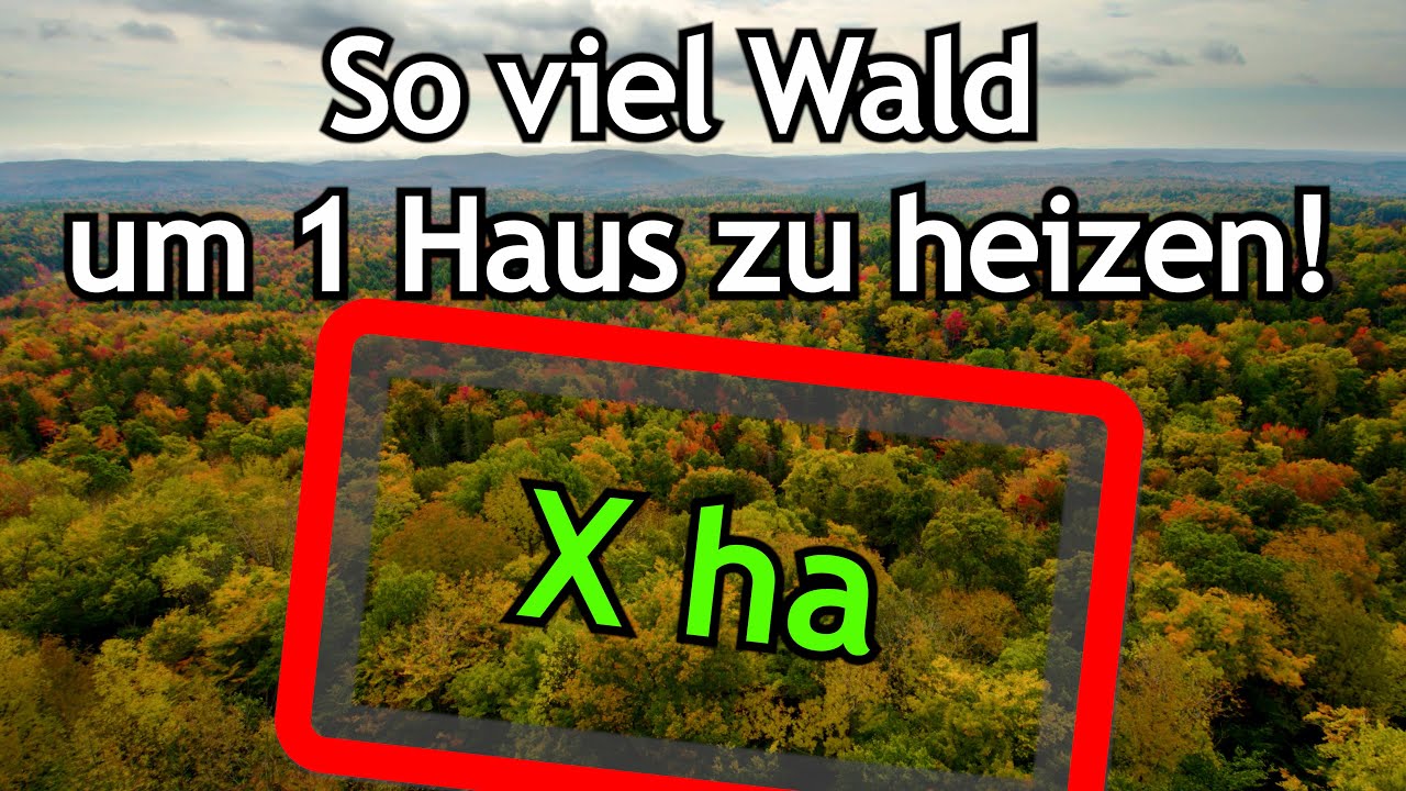 Wie viel ha 🌳Wald brauche ich 🪓 um ein Haus zu heizen 🔥?