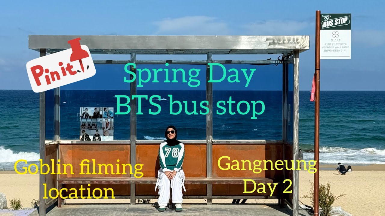 Exploring Gangneung BTS Bus Stop & Goblin Filming Location | Han River Night Water Show 🇰🇷🇮🇳