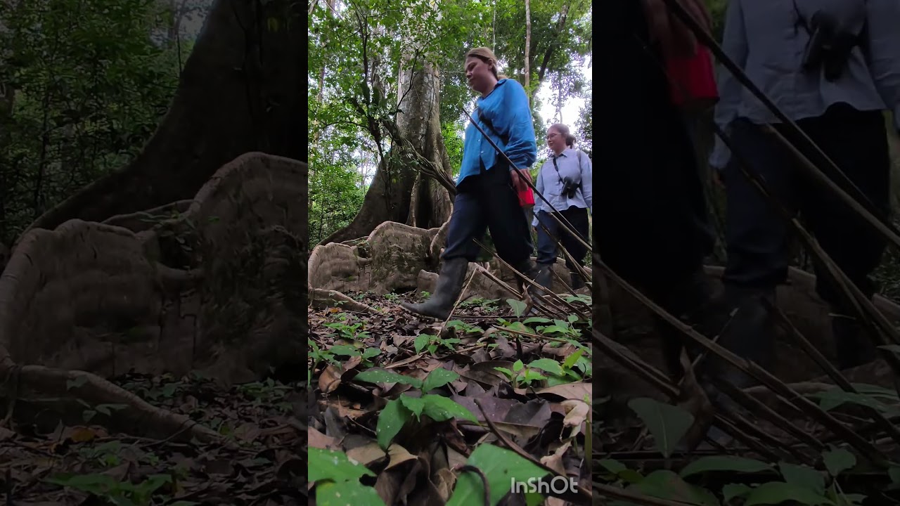 🌿 &ldquo;Amazon Beyond Limits &ndash; Allpayacu Adventures