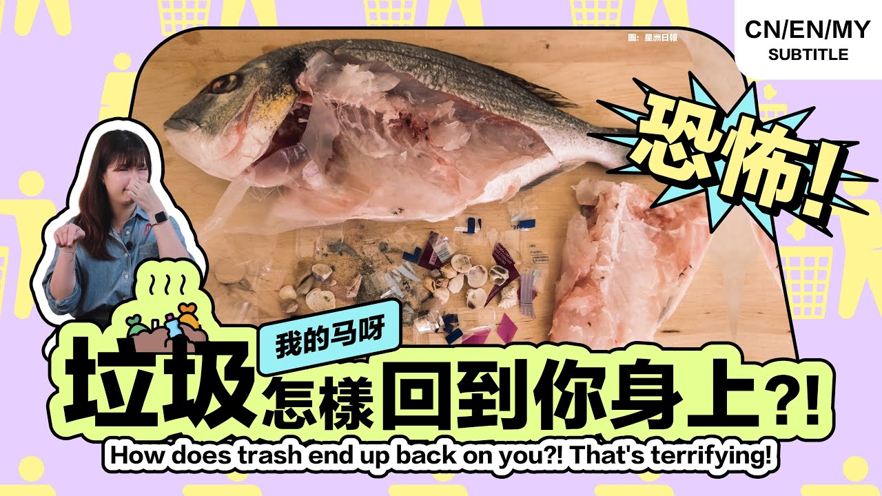 🇲🇾 (上集) 垃圾都被你吃回肚子裡？大马的垃圾掩埋场都快爆满，怎么办！？【我的马呀】#ESG #KPKT #Landfills #倪可敏 #房地部 #HiLighterStudio #荧光笔工作室
