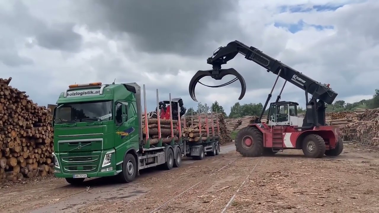 Papier &ndash; die nachwachsende Verpackungsalternative