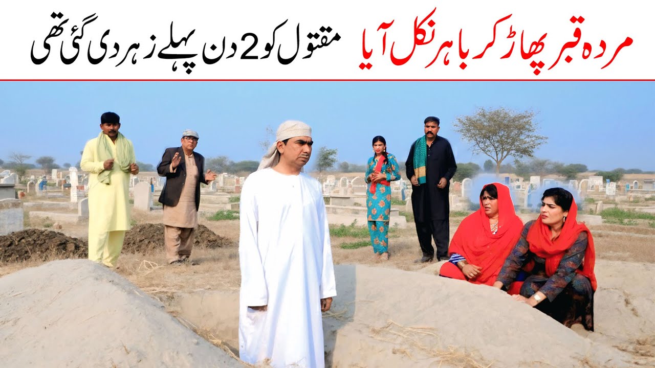 memes new | Ramzi,Noori, Bilo ,Bhootna,Shoki, Sanam, Falak Sher,Funny Video  Rachnavi Tv