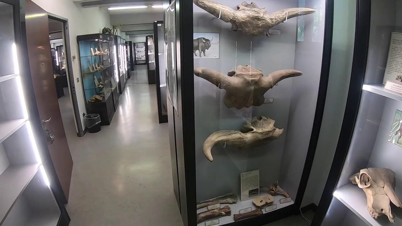 Il Museo Giuseppe Orlandi di Voghera