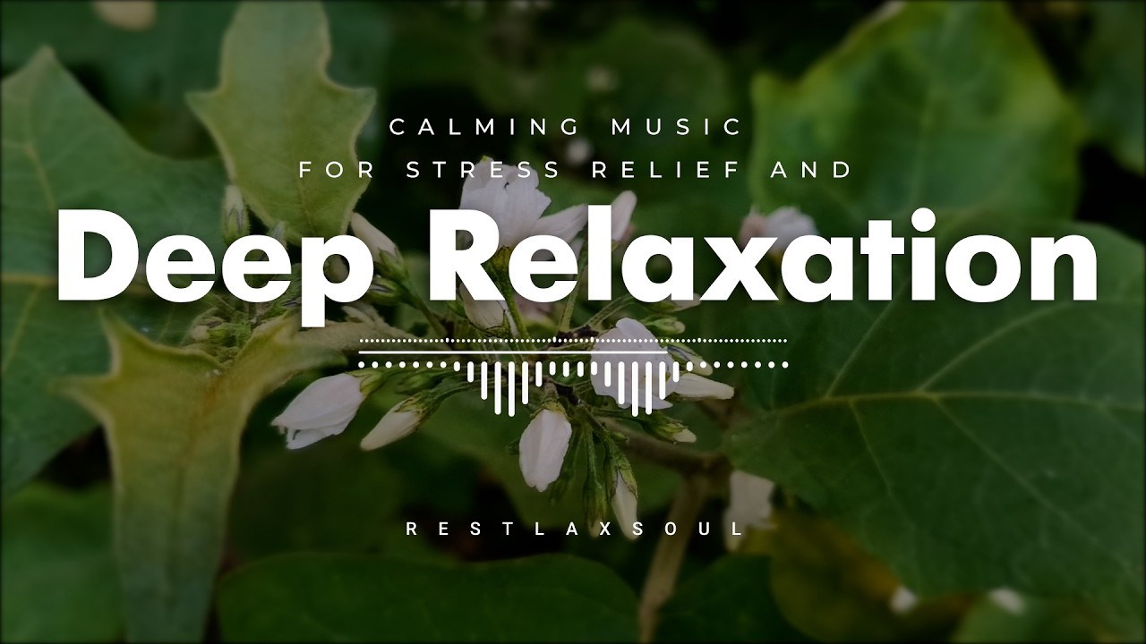 Calming Music for Stress Relief and Deep Relaxation
