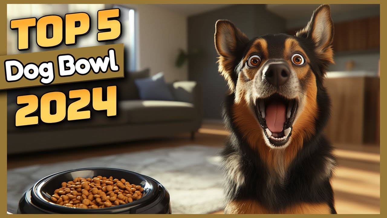 Top 5 Dog Bowls on Amazon for 2024 – Best Options for Every Dog!