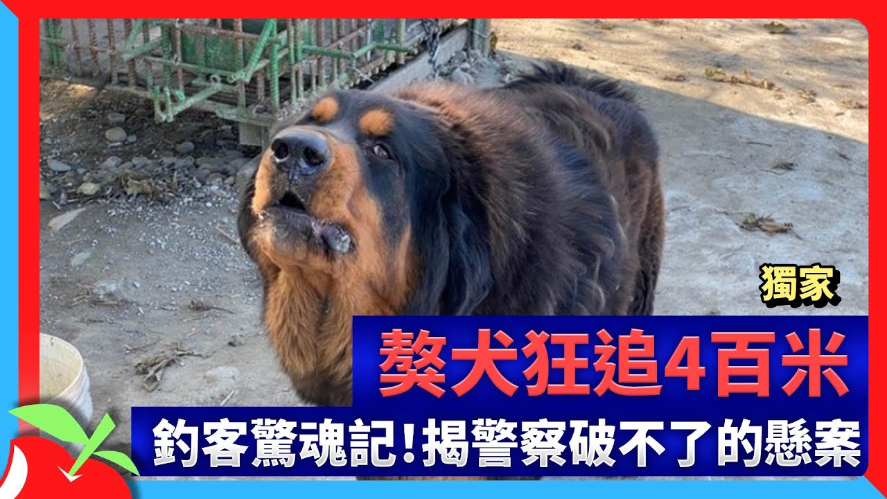 獨家｜獒犬狂追4百米　釣客驚魂記！揭警察破不了的懸案 | 台灣新聞 Taiwan 蘋果新聞網
