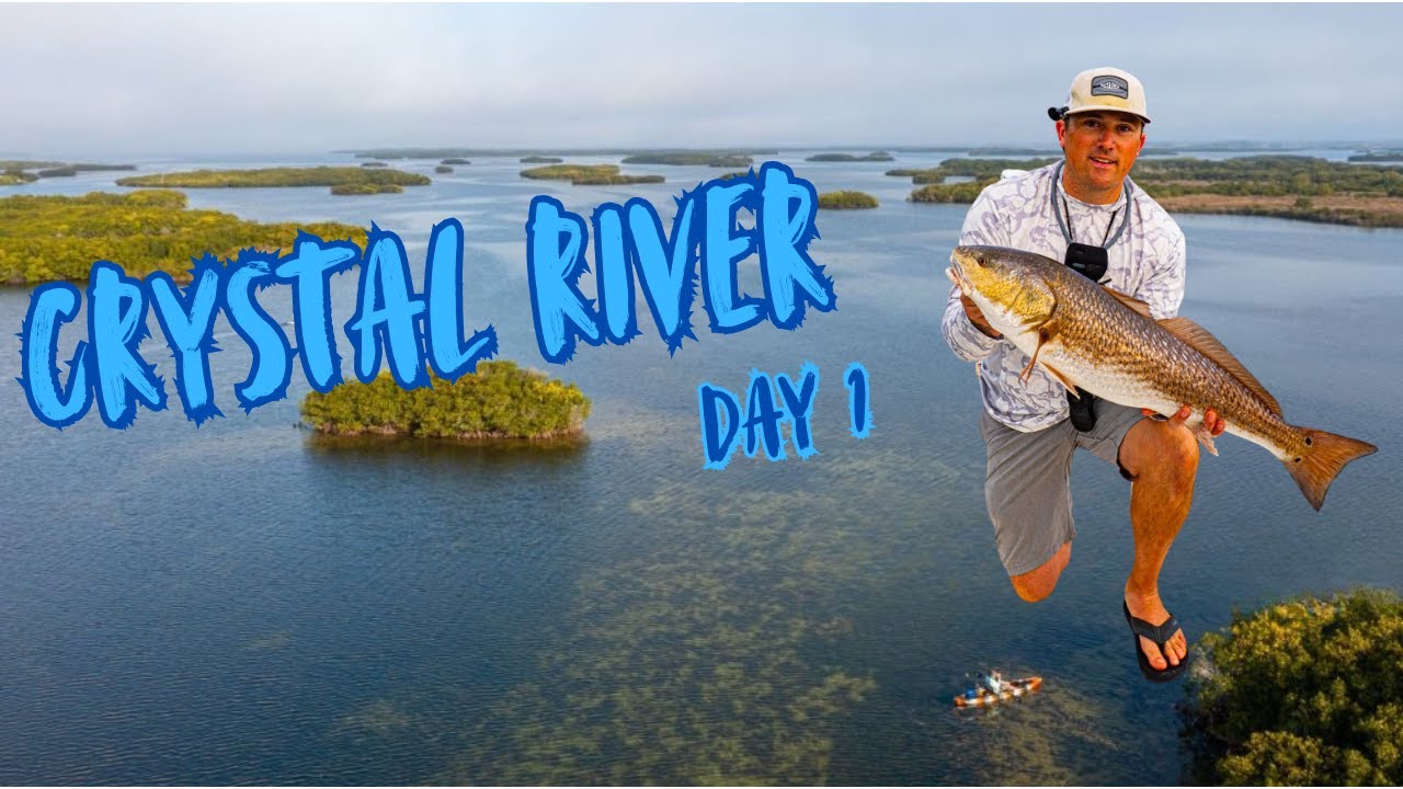 Found my new annual trip! - Crystal River Day 1