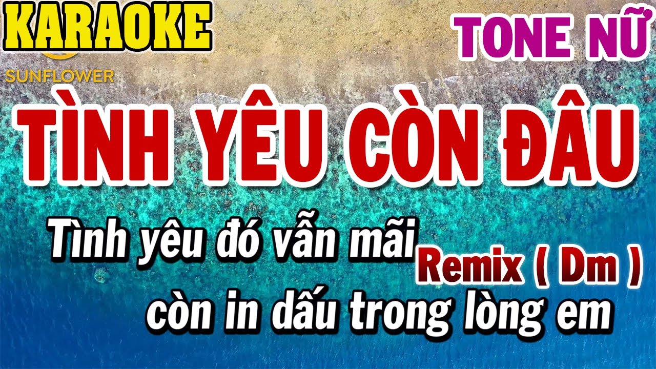 Karaoke Tình Yêu Còn Đâu Remix Tone Nữ Disco ( Dm ) | 84