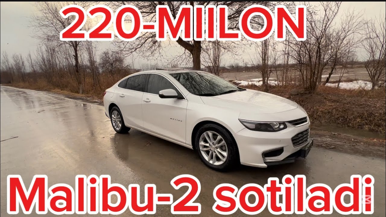 MALIBU-2 SOTILADI ZUDLIK BILAN ARZON NARXDA