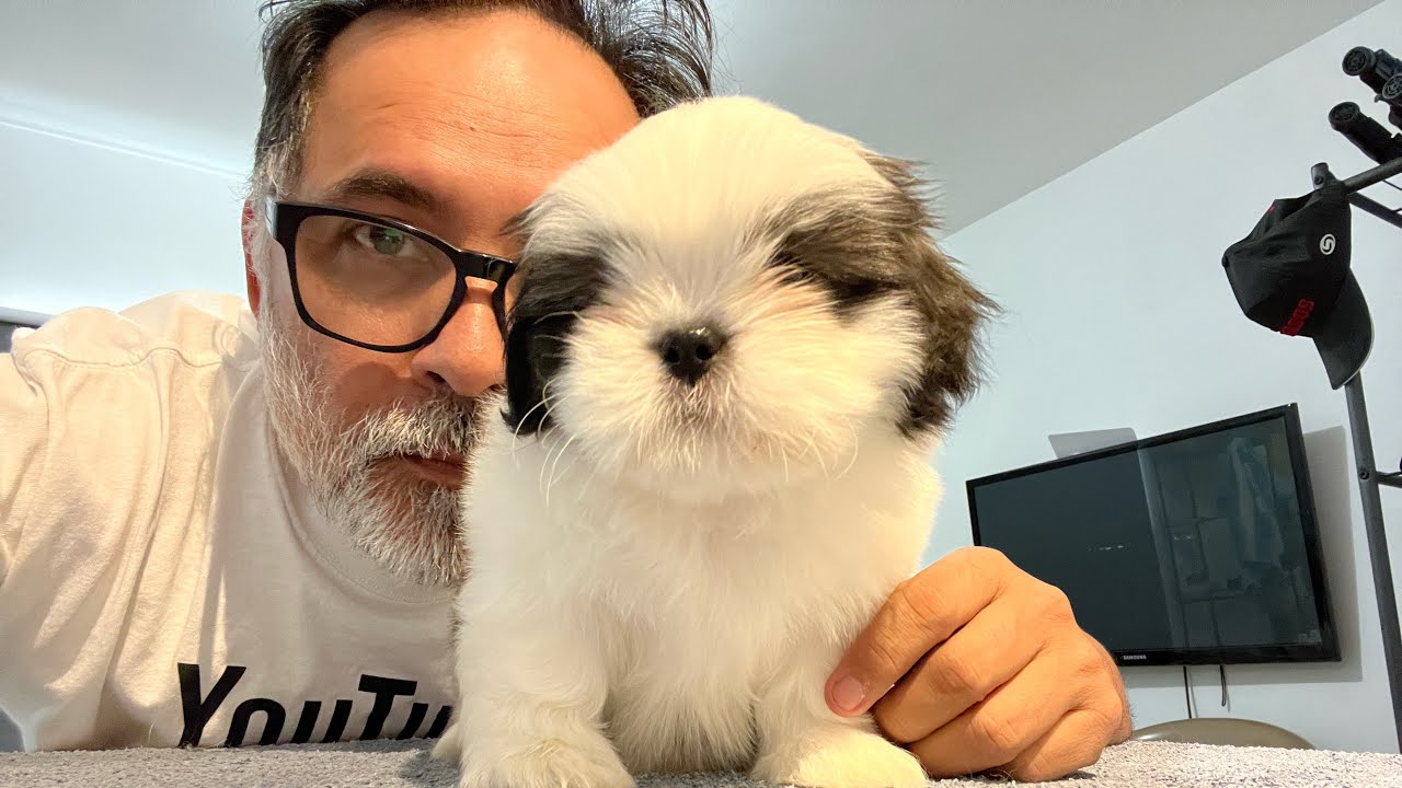 APRENDE a BAÑAR a tu PERRO | FÁCIL y SEGURO