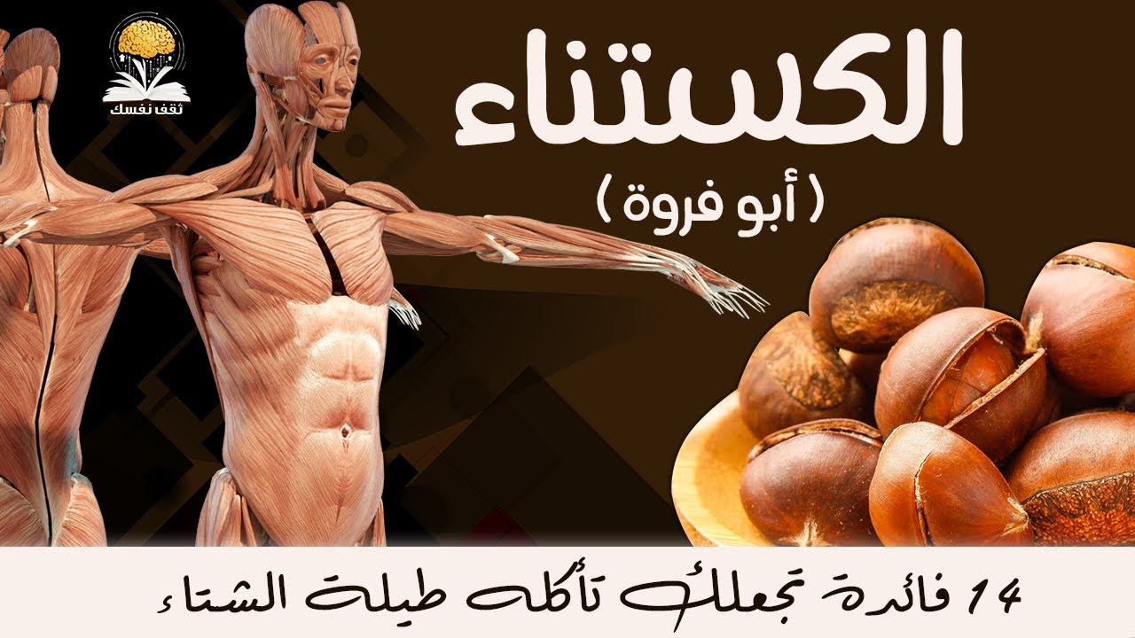 فوائد الكستناء أبو فروة ١٤ فائدة تجعلك تأكله طيلة الشتاء