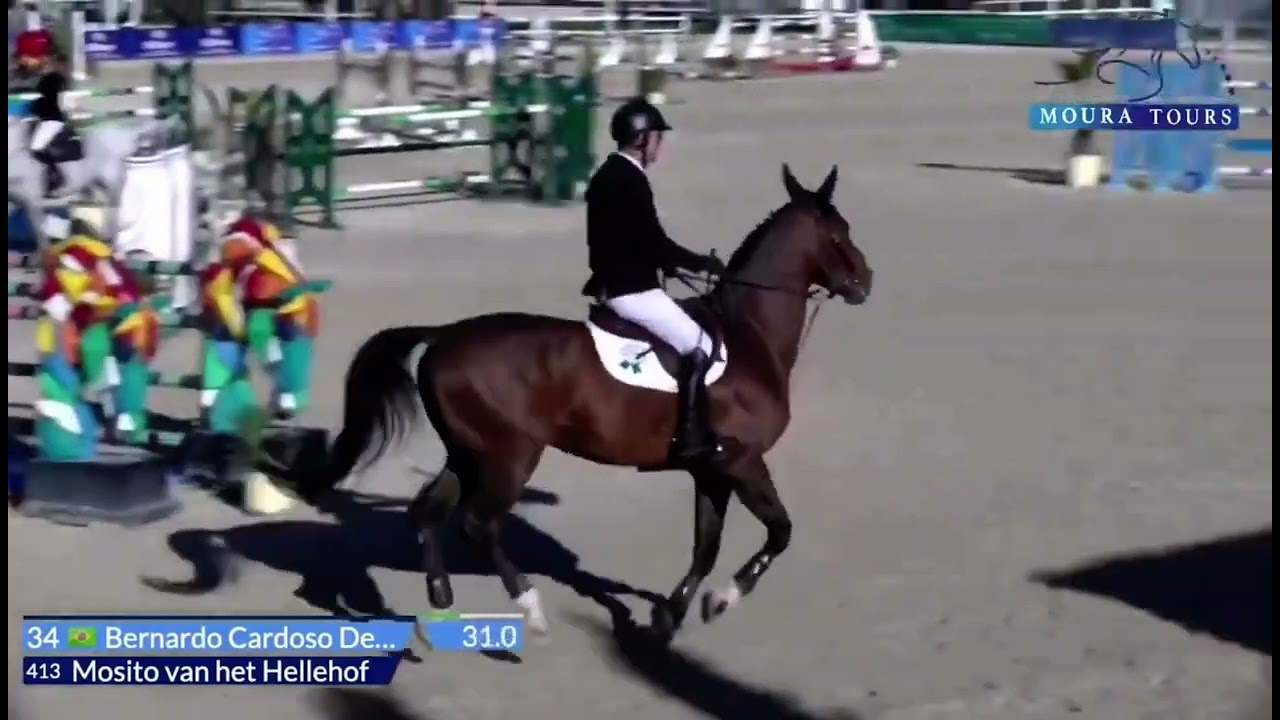 Bernardo Alves - Mosito van het Hellehof (03/03/2023) - Vilamoura (CSI3* - 1.45m - LR - 1st round)