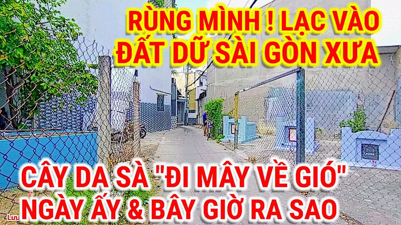 RÙNG MÌNH ! LẠC VÀO ĐẤT DỮ SÀI GÒN XƯA | CÂY DA SÀ NGÀY ẤY VÀ BÂY GIỜ | CUỘC SỐNG SÀI GÒN NGÀY NAY  