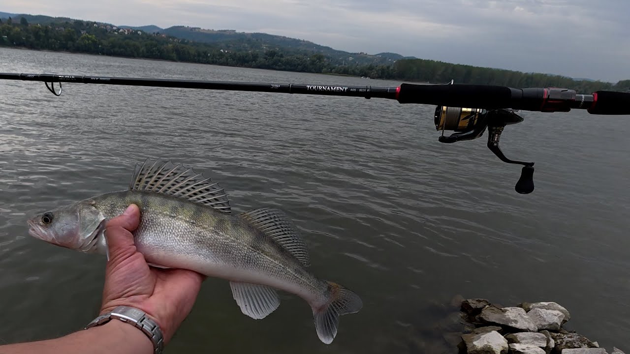 Svaki štap pre ovog je bila Pritka za Paradajz