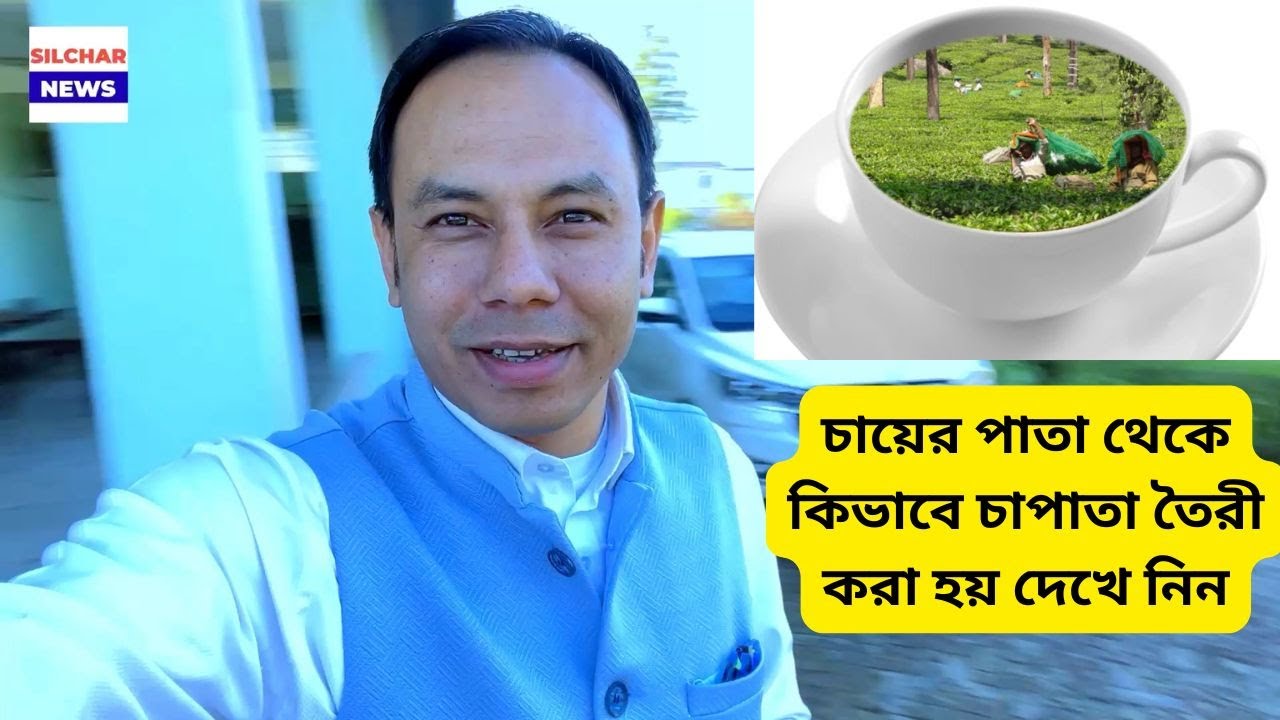 চায়ের পাতা থেকে কিভাবে চাপাতা তৈরী করা হয় দেখে নিন