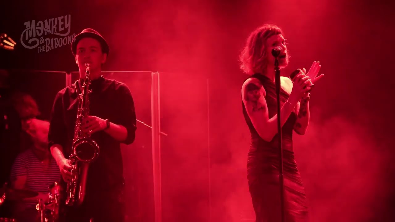 If I hadn't been for love  -  Monkey and the Baboons Live 4K