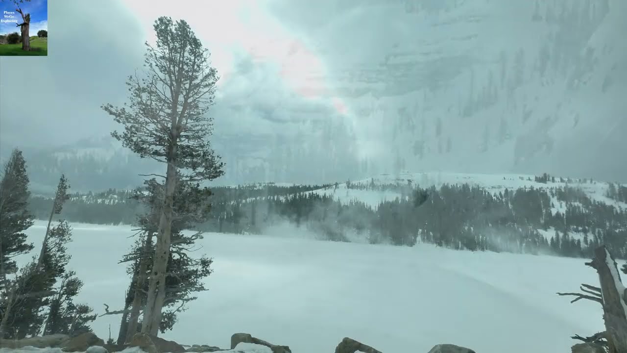 🇺🇸Exploring USA🇺🇸 Winter road trip in California's Sierra Nevada Alpine County - CA 88 E #roadtrips