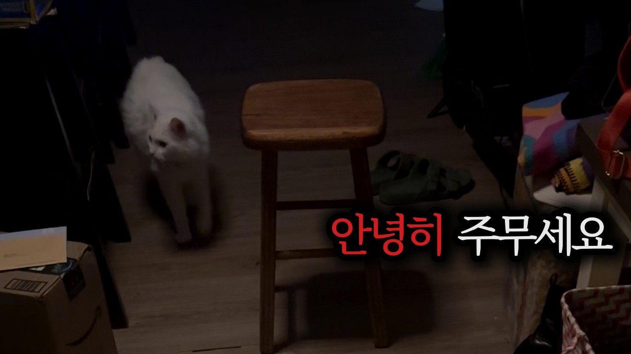 무서운 영상 No.14