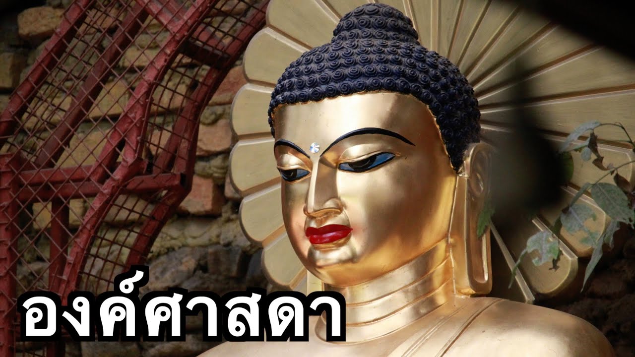 พระอาจารย์สุธรรม สุธัมโม | องค์ศาสดา พุทธคยา อินเดีย วันที่ ๕ ธันวาคม พ.ศ.๒๕๖๗