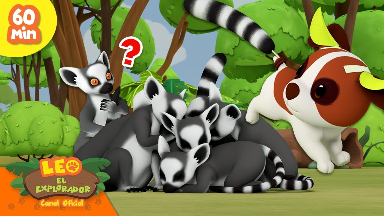 🦜🦍 ANIMALES DE MADAGASCAR! 🦎🐳 Lémur de Cola Anillada! | Leo, El Explorador | Animación