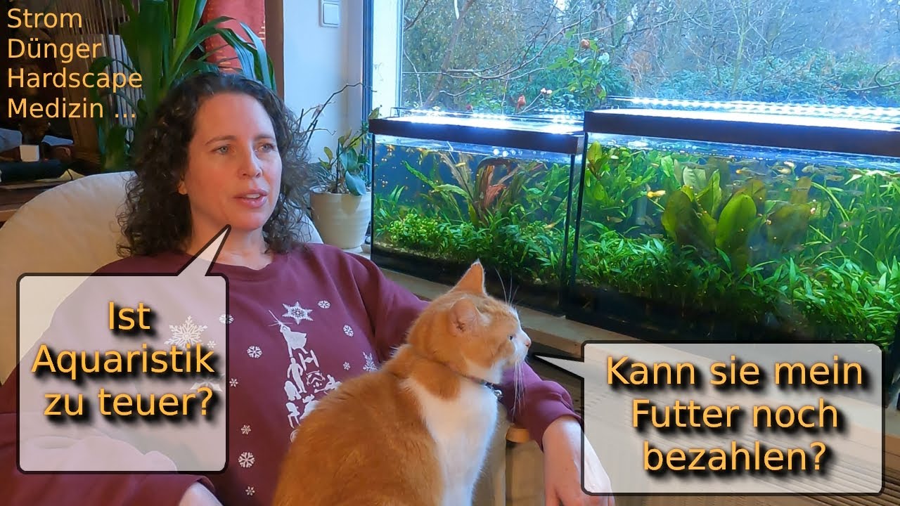 Kosten senken in der Aquaristik - Teil 1