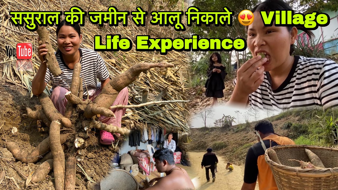 ससुराल की जमीन से आलू निकाले 😍 | Village Life Experience