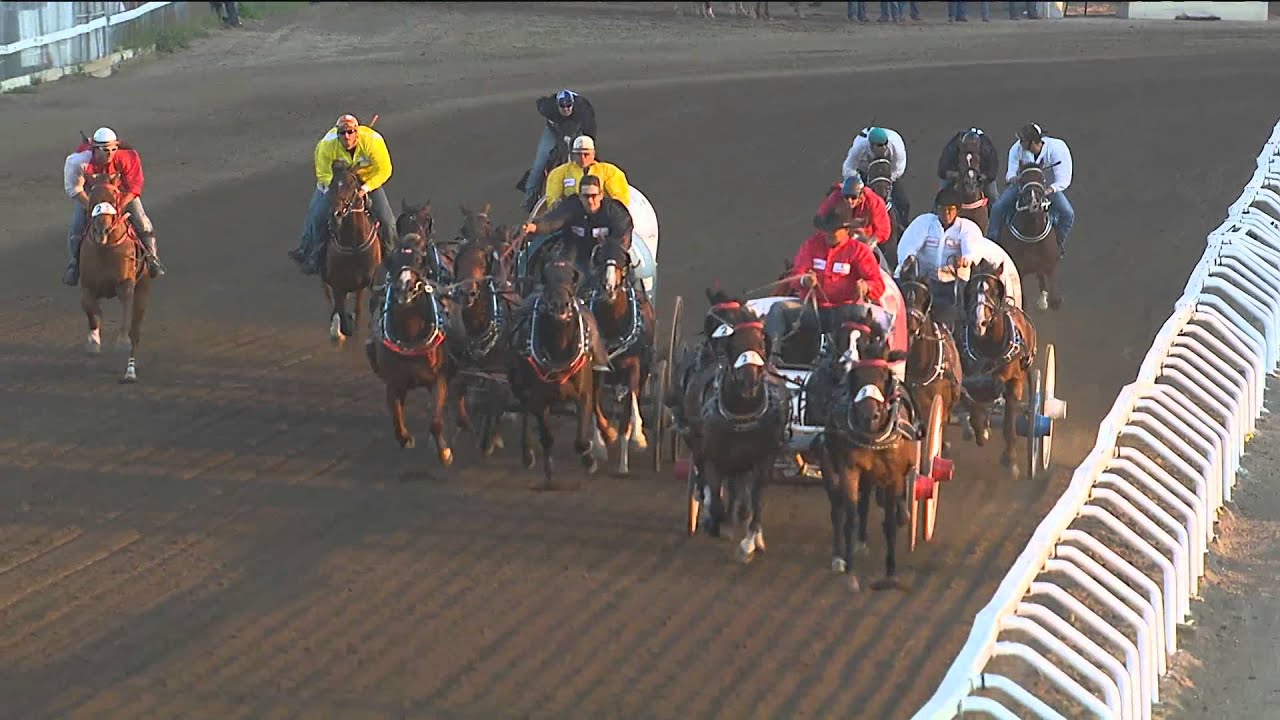Day 5 action from the Calgary Stampede GMC Rangeland Derby, Top 3 heats of the night-- July 8, 2014